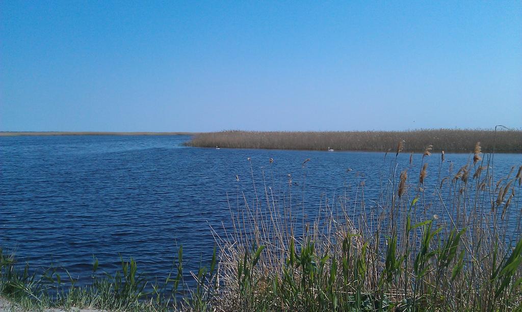 Ейск Земельные участки в Ейске с фото, продажа
