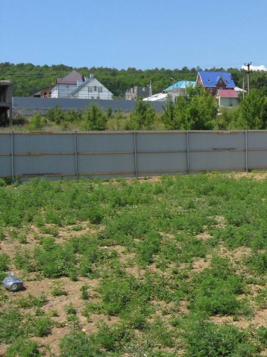Джубга Земельный участок в Джубге с фото, продам участок земельный в Джубге