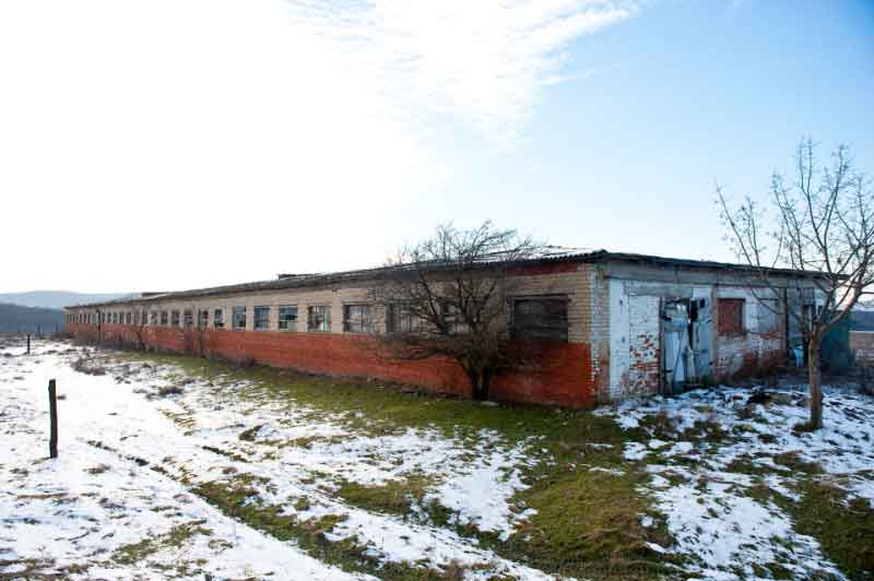 ст. Раевская земельные участки в станицах Кубани, фото