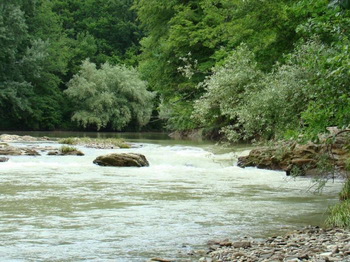 ст. Куринская земельные участки в станицах Кубани, фото