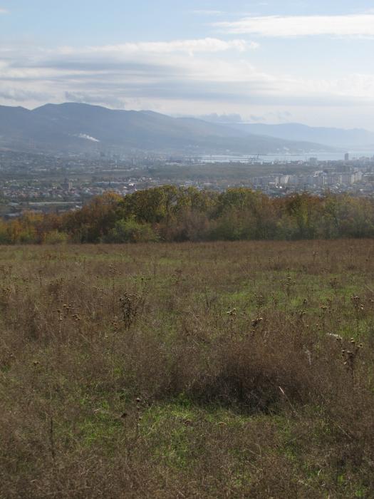п. Борисовка