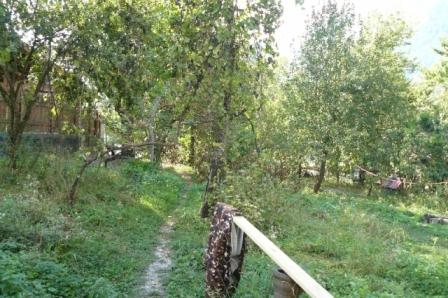 Сочи Земельные участки в Сочи с фото, участки в Сочи продажа