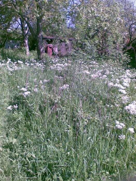 п. Архипо-Осиповка земельные участки в станицах Кубани, фото