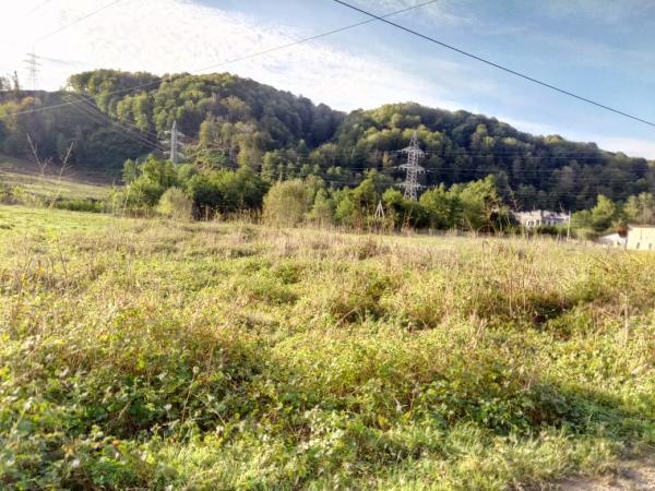 Сочи Земельные участки в Сочи с фото, участки в Сочи продажа