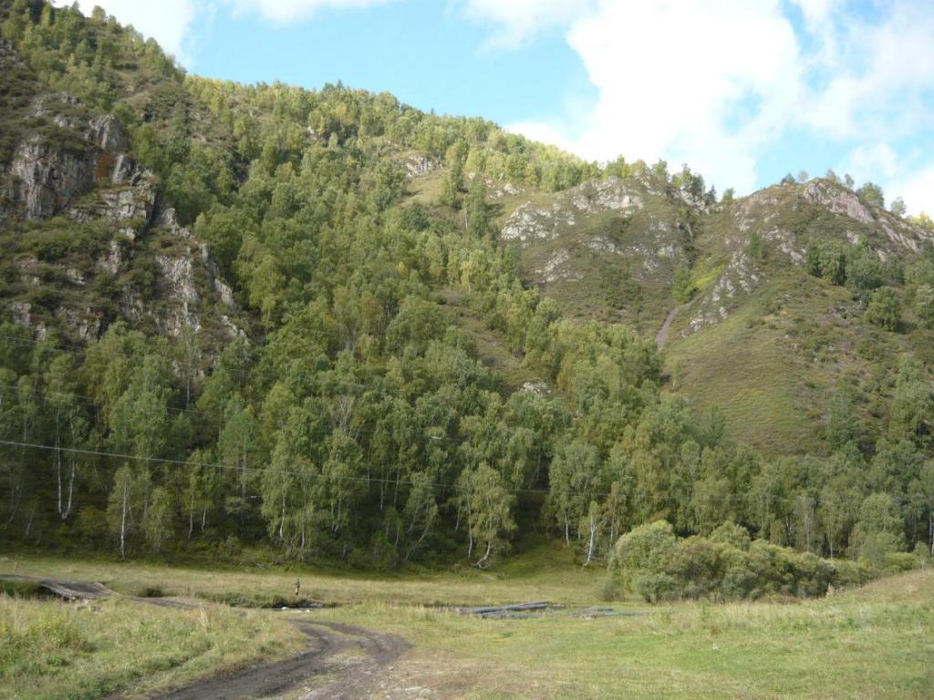 Горно-Алтайск земельные участки в станицах Кубани, фото