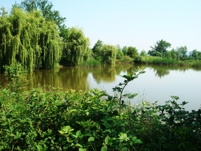Апшеронск
