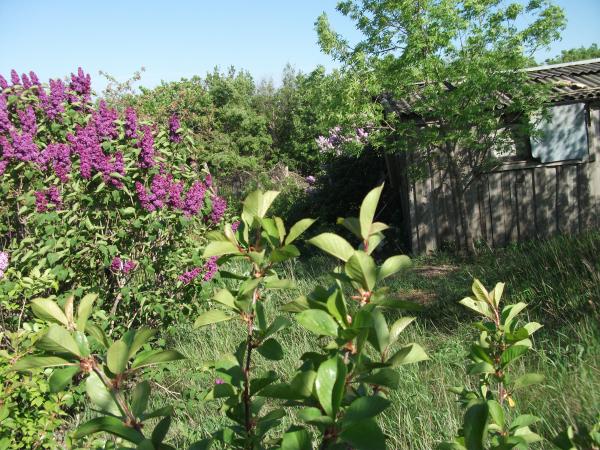 п. Верхнебаканский