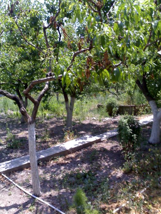Геленджик земельные участки в Геленджике с фото