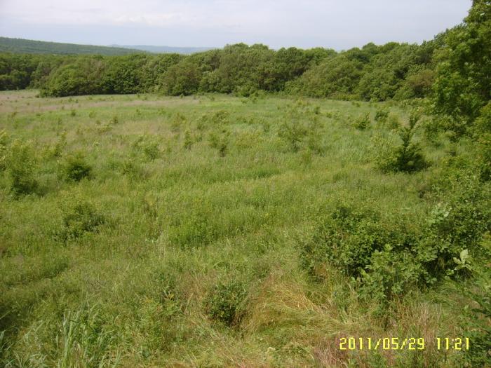 Новороссиск земельные участки в станицах Кубани, фото