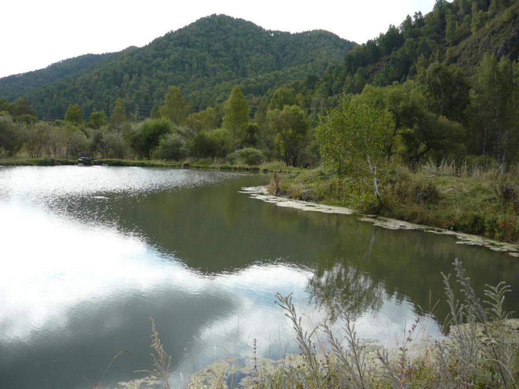 Горно-Алтайск земельные участки в станицах Кубани, фото