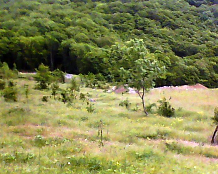 Геленджик земельные участки в Геленджике с фото