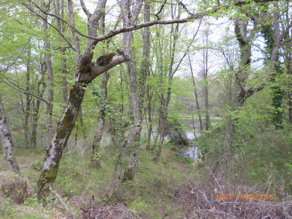 Cочи земельные участки в станицах Кубани, фото