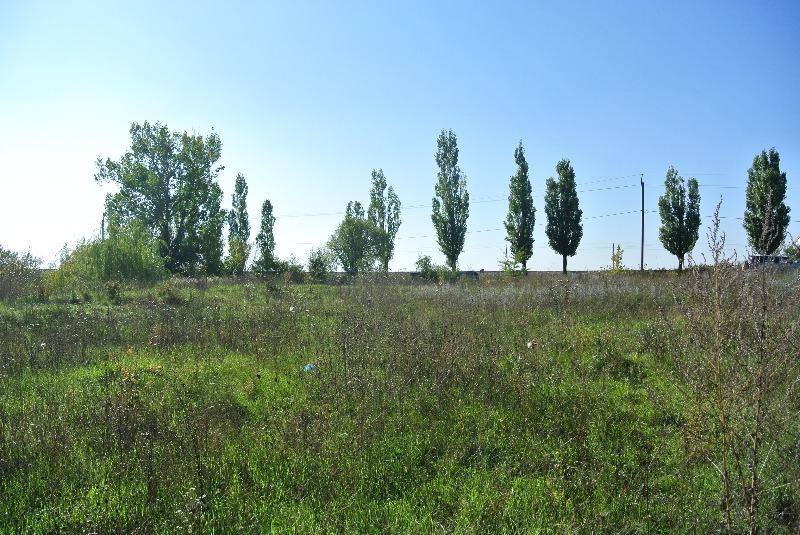 ст. Холмская земельные участки в станицах Кубани, фото
