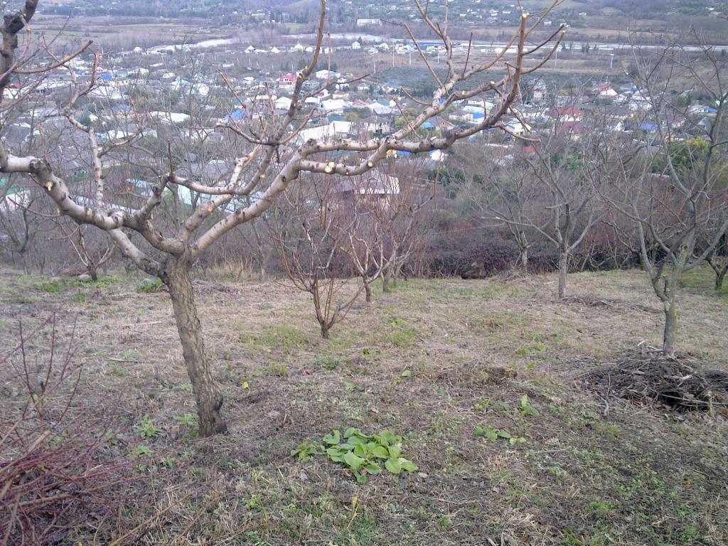 Сочи Земельные участки в Сочи с фото, участки в Сочи продажа