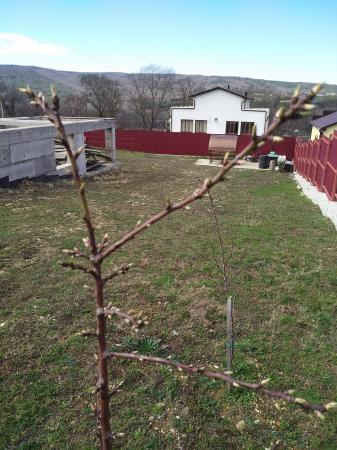 Геленджик земельные участки в Геленджике с фото