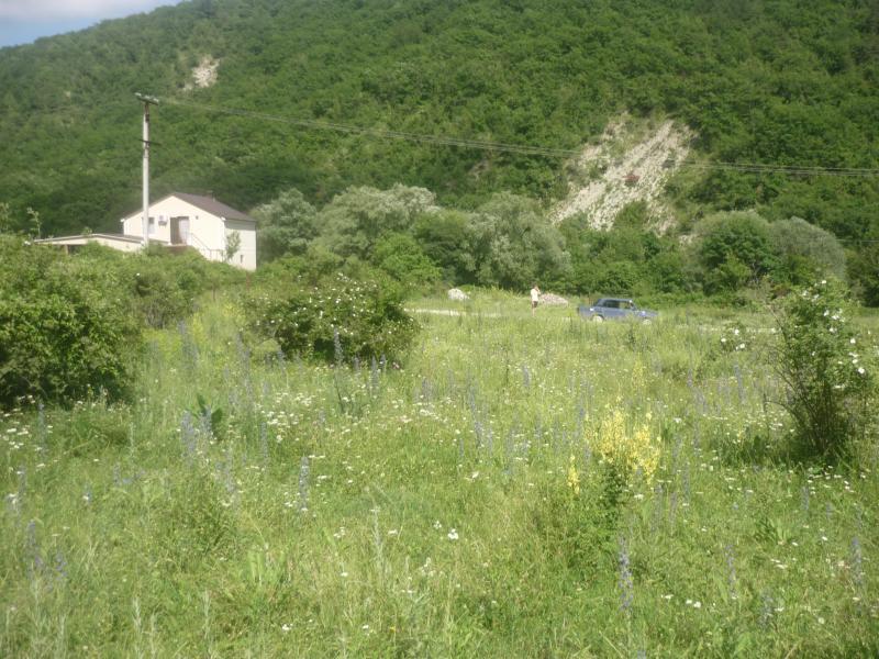Геленджик земельные участки в Геленджике с фото