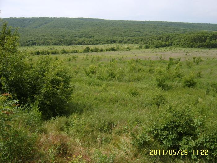 Новороссиск земельные участки в станицах Кубани, фото