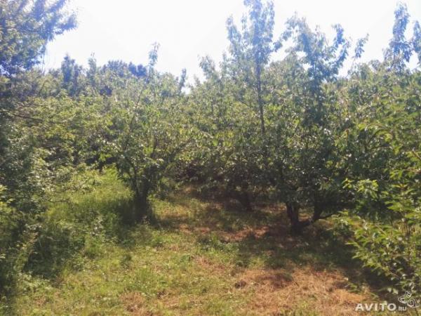 Анапа Продам земельный участок в Анапе