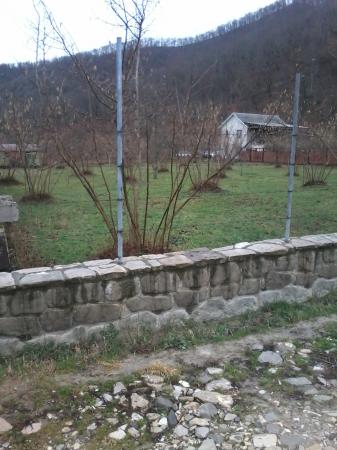 а. Агуй-Шапсуг земельные участки в станицах Кубани, фото