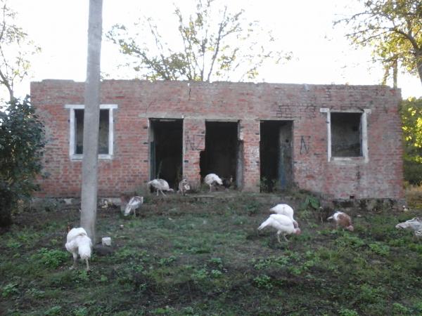 ст. Черноморская земельные участки в станицах Кубани, фото