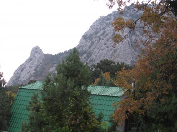 ЯЛТА земельные участки в станицах Кубани, фото