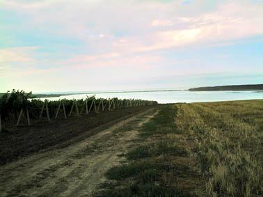 Тамань земельные участки в станицах Кубани, фото