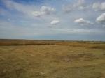 земельные участки в станицах Кубани, фото