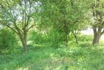 Земельные участки в Сочи с фото, участки в Сочи продажа